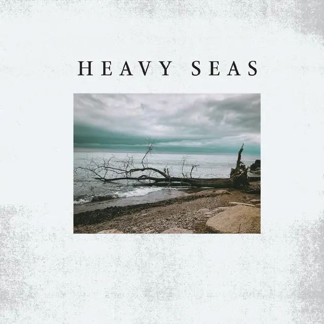 Heavy Seas Distortion Days (LP) 