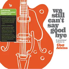 Diverse Artister We Still Can't Say Goodbye… - LTD (2LP)