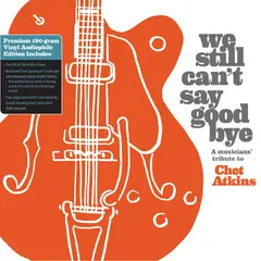 Diverse Artister We Still Can't Say Goodbye… (2LP)