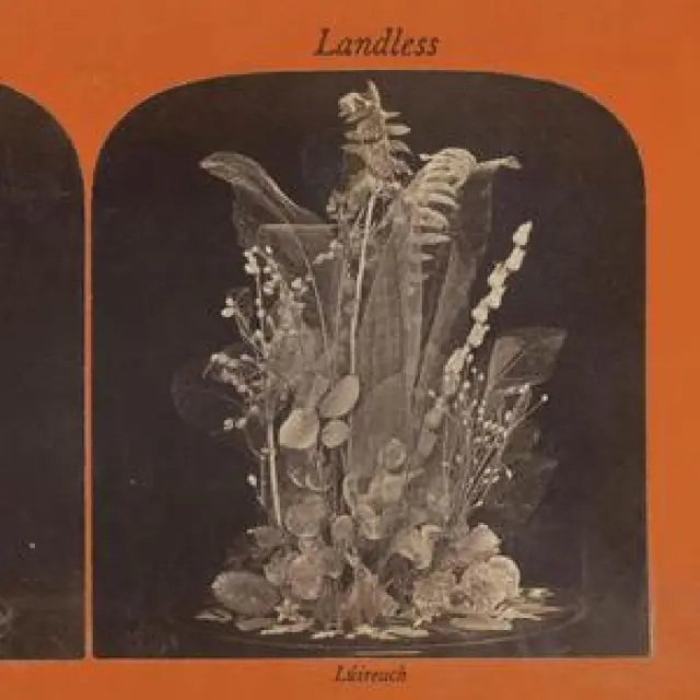 Landless Lúireach (LP) 