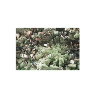 Astrid Sonne Human Lines (LP)