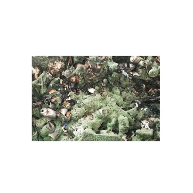 Astrid Sonne Human Lines (LP) 