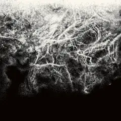 Offernat Where Nothing Grows - LTD (2LP)
