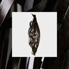 Into It. Over It. Interesting Decisions (LP)