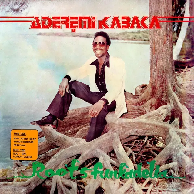 Remi Kabaka Roots Funkadelia (LP) 
