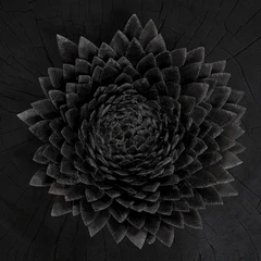 Jónsi Obsidian - LTD (2LP)