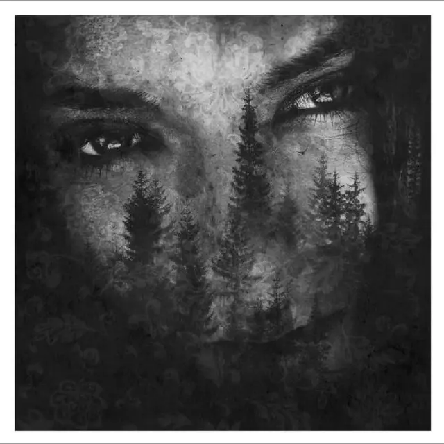 Lustre The Ashes Of Light - LTD (LP) 