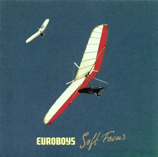 Euroboys Soft Focus (2LP)