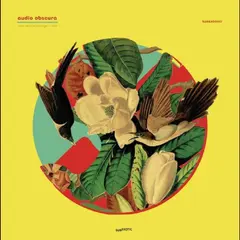 Audio Obscura Acid Field Recordings In Dub (LP)