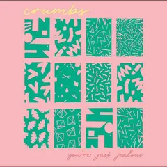Crumbs You're Just Jealous (LP)