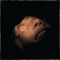 Exhumed Anatomy Is Destiny - LTD (LP)