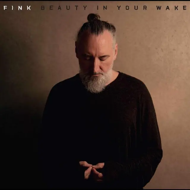 Fink Beauty In Your Wake (LP) 