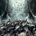 Uncanny Shroomsday (CD)