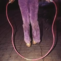 Buffalo Tom Jump Rope - LTD (LP)
