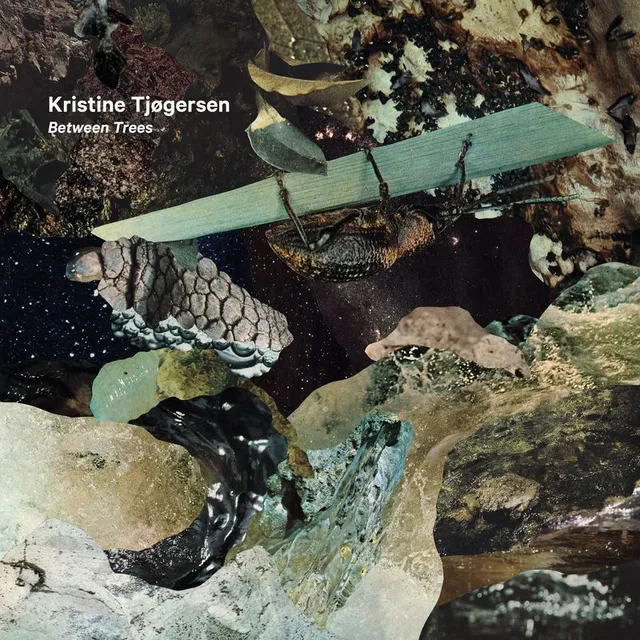 Kristine Tjøgersen Between Trees (CD) 