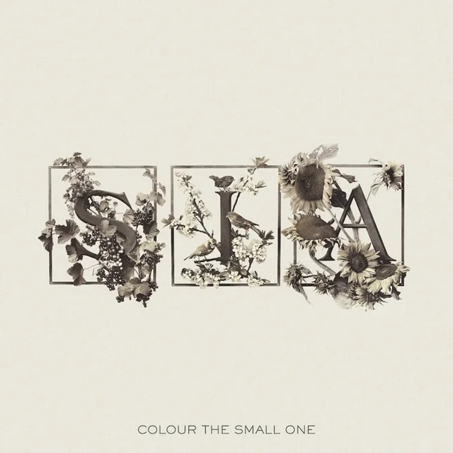 Sia Colour The Small One - RSD (2LP) 