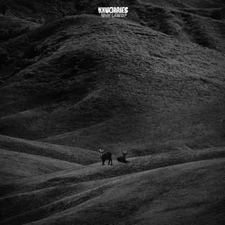 NxWorries Why Lawd? (CD)