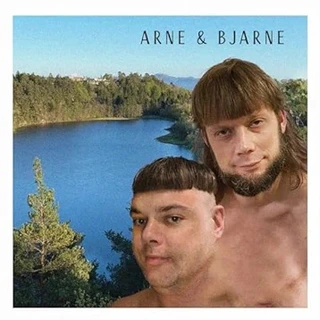 Arne & Bjarne Hata Data (MC) 