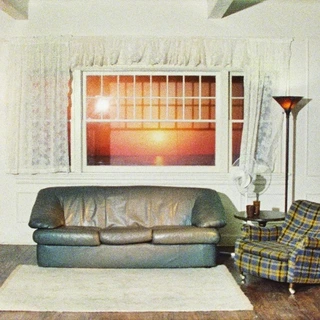 Wallows Model - LTD (LP)