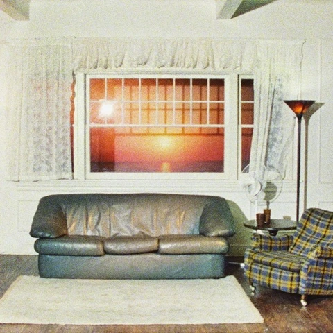 Wallows Model - LTD (LP) 