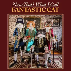 Fantastic Cat Now That's What I Call Fantastic… (LP)