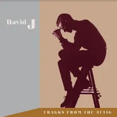 David J Tracks From The Attic - LTD (3LP)