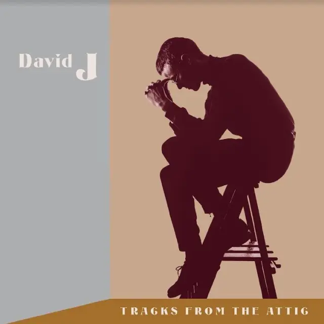 David J Tracks From The Attic - LTD (3LP) 
