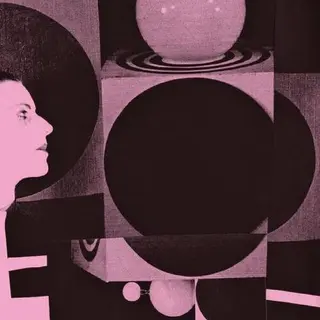 Vanishing Twin The Age Of Immunology - LTD (LP)
