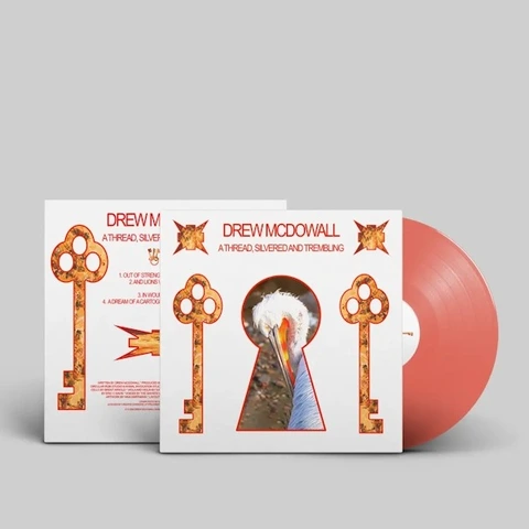 Drew McDowall A Thread, Silvered And… - LTD (LP) 