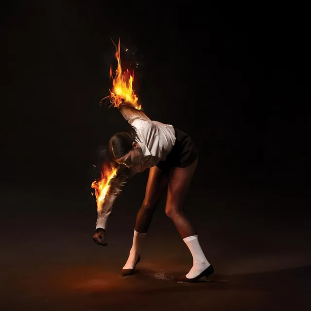 St. Vincent All Born Screaming (LP) 
