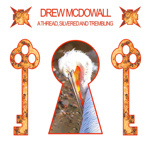 Drew McDowall A Thread, Silvered And… - LTD (LP) 