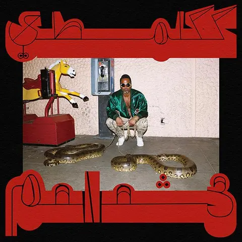 Shabazz Palaces Robed In Rareness - LTD (LP) 