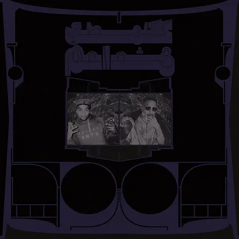 Shabazz Palaces Exotic Birds Of Prey - LTD (LP) 