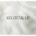 Aegteskab Aegteskab (LP)