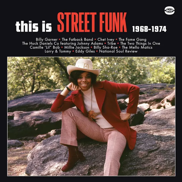 Diverse Artister This Is Street Funk 1968-1974 (LP) 