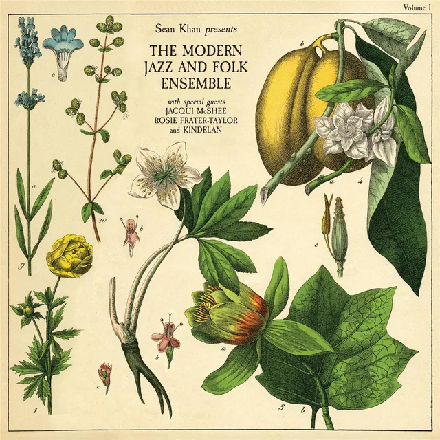 The Modern Jazz & Folk Ensemble Sean Khan Presents The Modern Folk… (LP) 