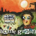 Home Groan Astrodome (CD)