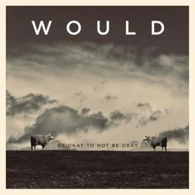 Would Be Okay To Not Be Okay (LP) 