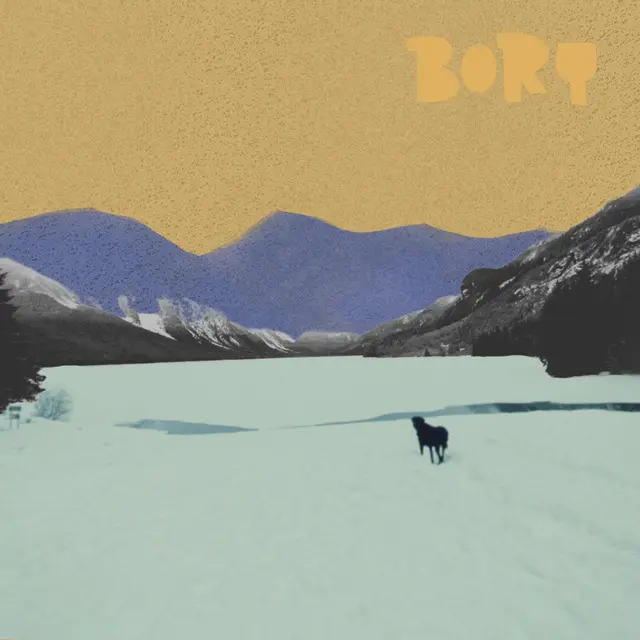 Bory Who's A Good Boy (LP) 