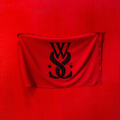 While She Sleeps Brainwashed (LP)