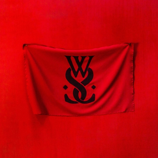 While She Sleeps Brainwashed (LP)