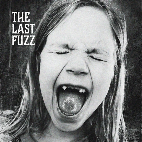 The Last Fuzz Take The Fall (LP) 