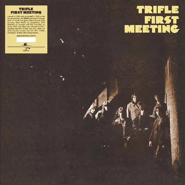 Trifle First Meeting (LP) 