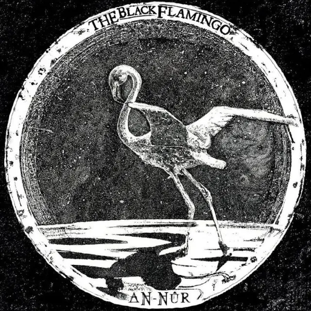 The Black Flamingo An?-?N?ur (LP) 