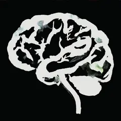 Ruins Brain Flakes (LP)