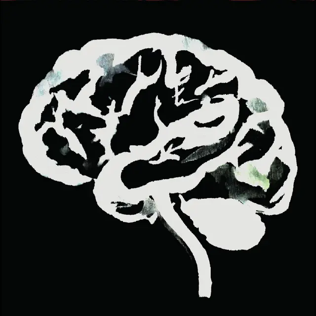 Ruins Brain Flakes (LP) 