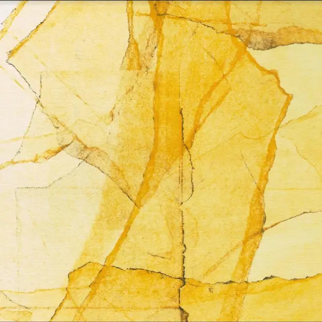 Wadada Leo Smith & Amina Claudine Myaers Central Park's Mosaic Of… - LTD (LP) 