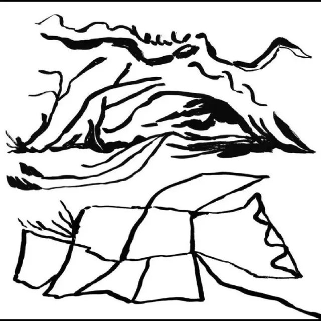 Kiran Leonard Real Home (LP) 