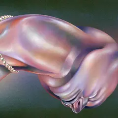 Walt Disco The Warping - LTD (LP)