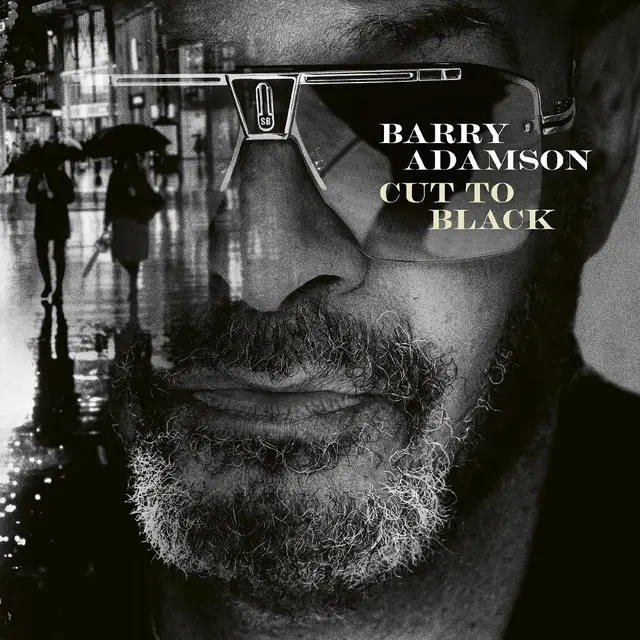 Barry Adamson Cut To Black (LP) 